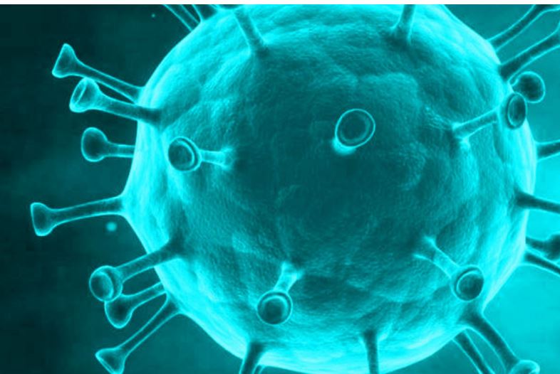 CORONAVIRUS_IAMGEM.JPG