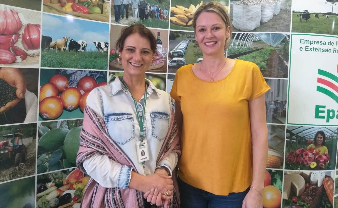 Coordenadoria da mulher na epagri.jpeg