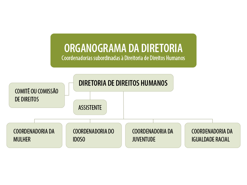 Organograma Diretoria 2 01