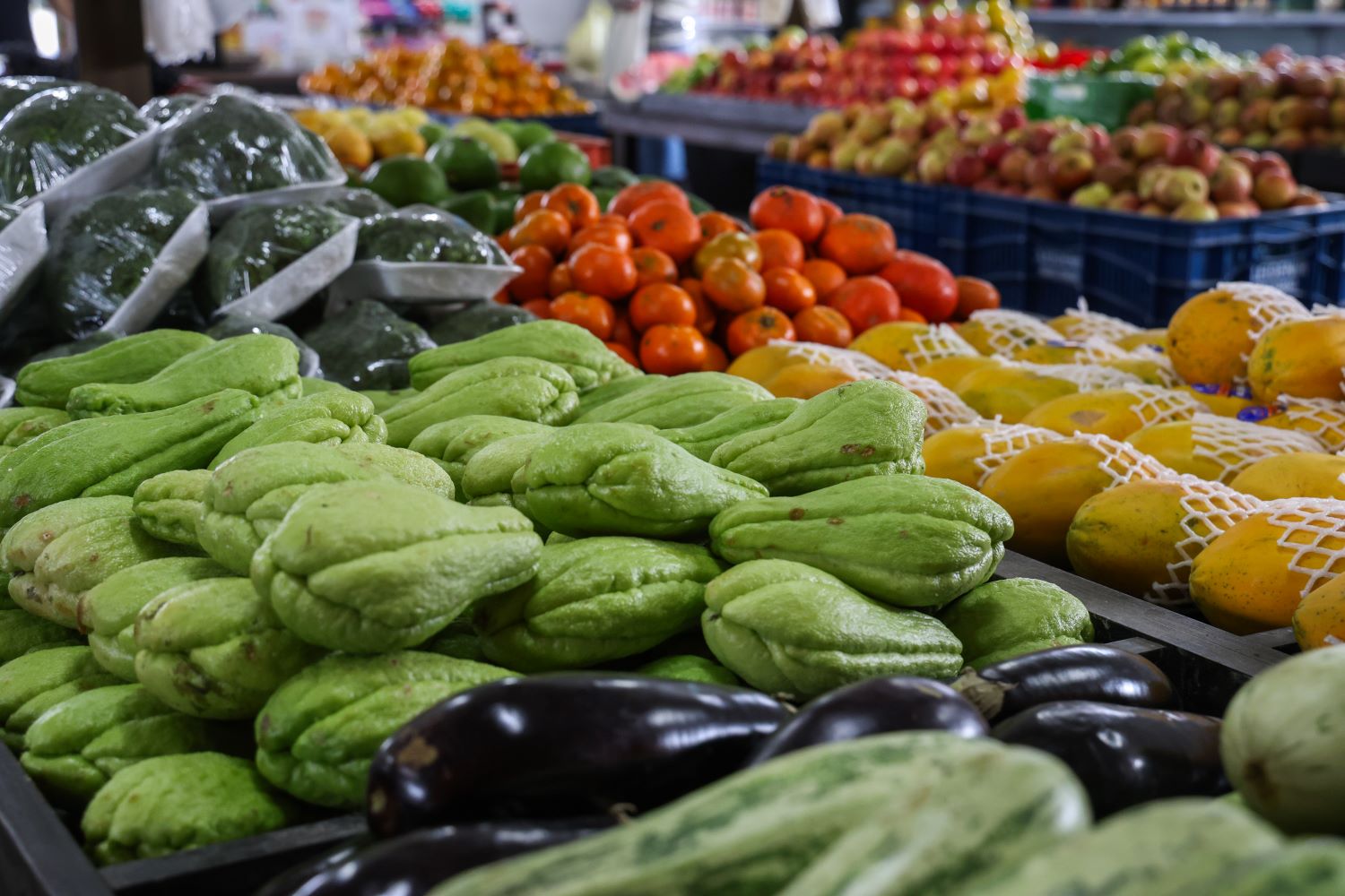 SEG_ALIMENTAR_TKA_6606.jpg