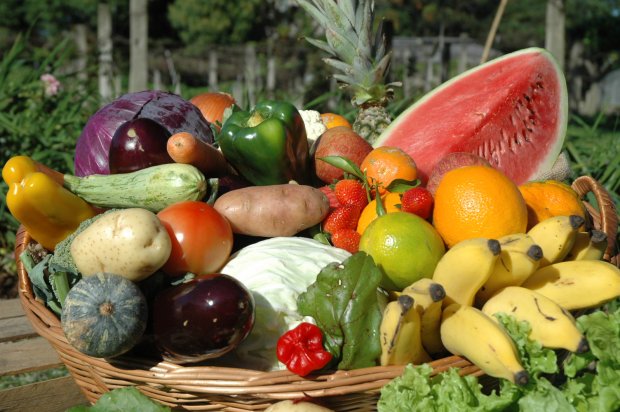 agricultura_-_rastreabilidade_dos_alimentos_20171016_1775412878.jpg
