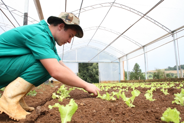 agricultura_familiar_20150821_1953354563.jpg