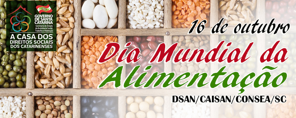 alimento 2