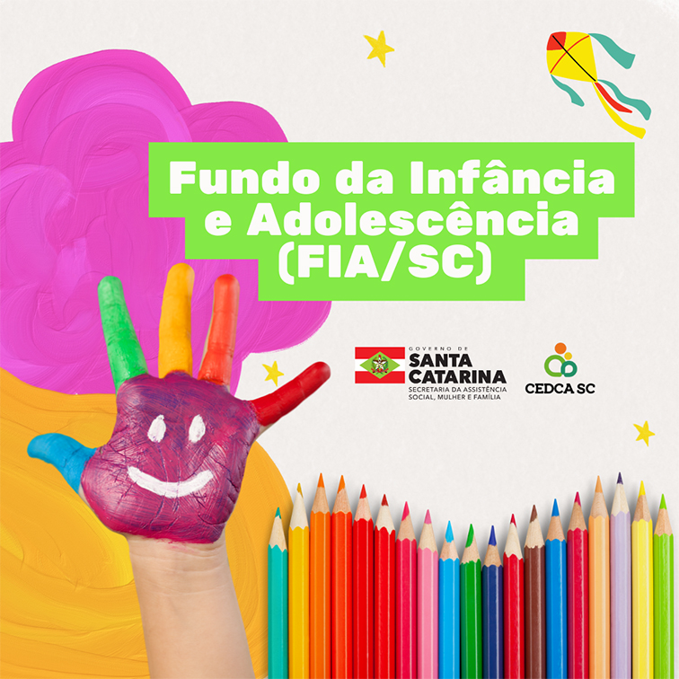 A Rede socioassistencial privada do Sistema Único de Assistência