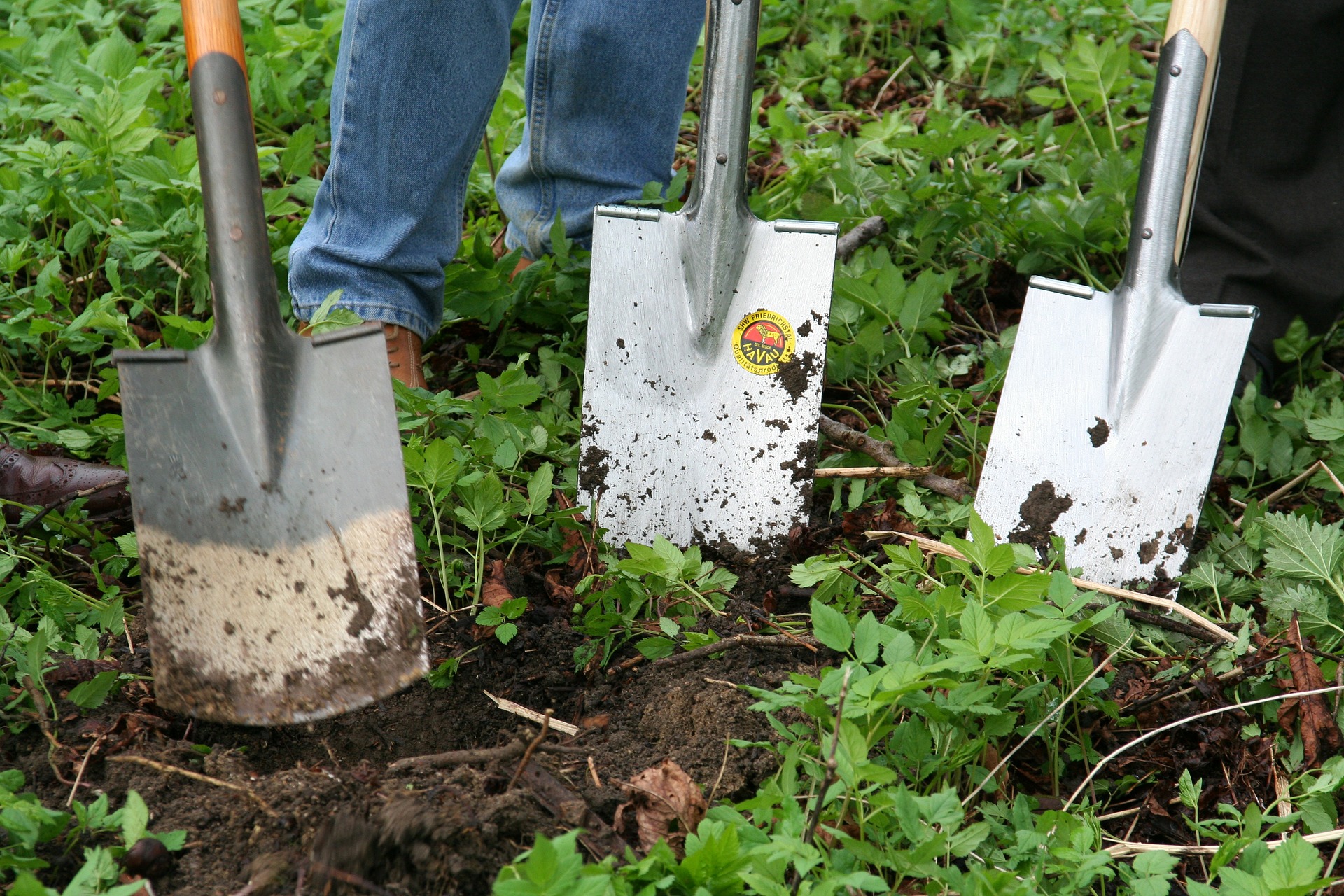 gardening 331986 1920