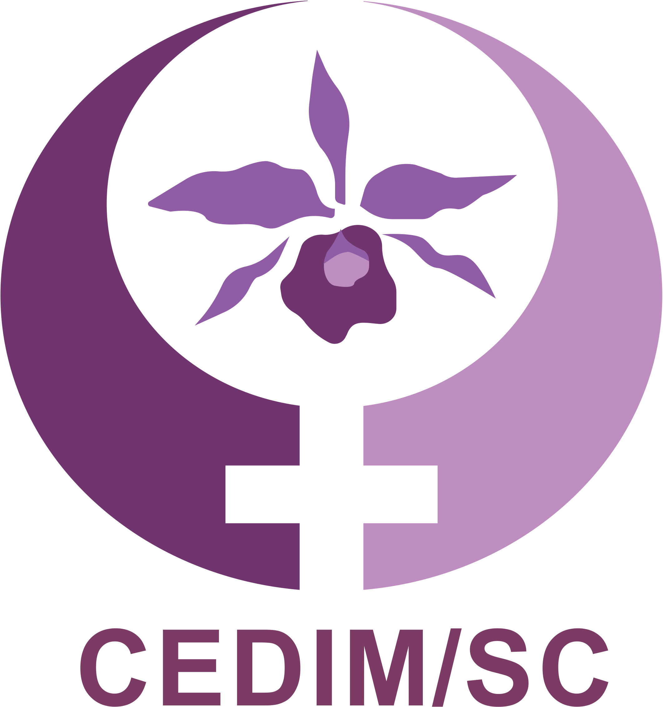logo do Conselho em png