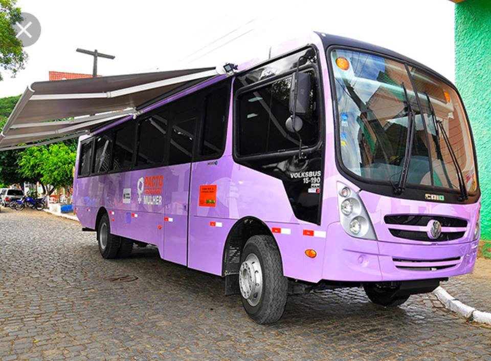 onibus lilas capa.jpg